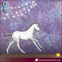 Horse Color:Silver Brown Sabino Frame Appaloosa Rabicano