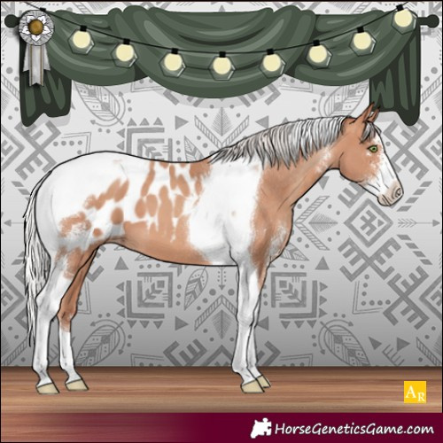 Horse Color:Silver Sable Champagne Sabino Tobiano Appaloosa 