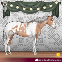Horse Color:Silver Sable Champagne Sabino Tobiano Appaloosa