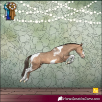 Horse Color:Amber Champagne Tobiano Frame 