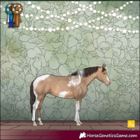 Horse Color:Amber Champagne Tobiano Frame