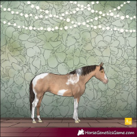Horse Color:Amber Champagne Tobiano Frame