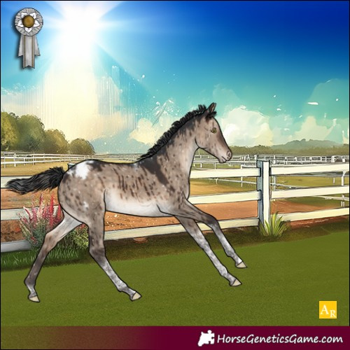 Horse Color:Brown Dun Tobiano Appaloosa Brindle 