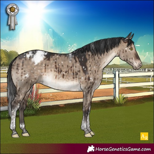 Horse Color:Brown Dun Tobiano Snowcap Brindle 
