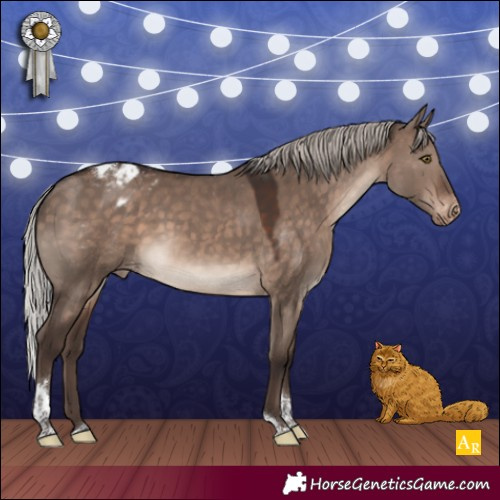 Horse Color:Silver Brown Dun Mushroom Tobiano Appaloosa