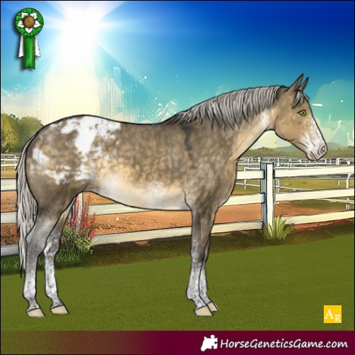 Horse Color:White Spotted Silver Buckskin Dun Mushroom Tobiano Appaloosa 