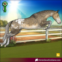 Horse Color:White Spotted Silver Buckskin Dun Mushroom Tobiano Appaloosa