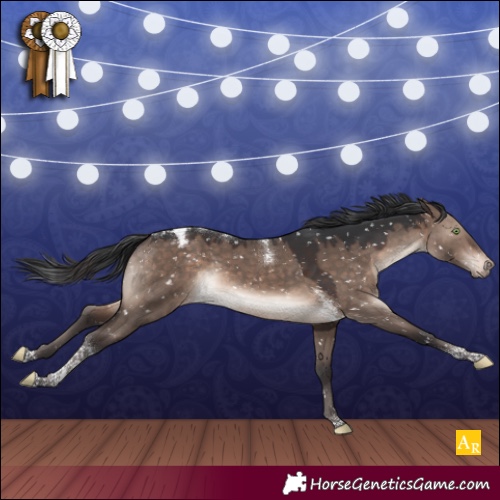 Horse Color:Brown Dun Mushroom Tobiano Appaloosa