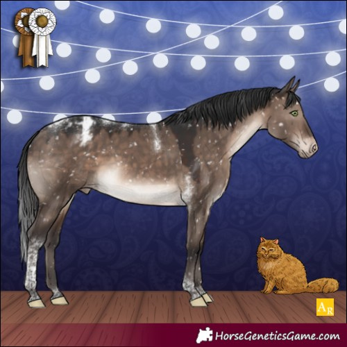 Horse Color:Brown Dun Mushroom Tobiano Appaloosa 
