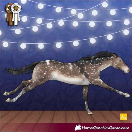 Horse Color:Brown Dun Mushroom Tobiano Snowcap 