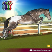 Horse Color:Brown Dun Mushroom Tobiano Appaloosa