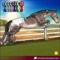 Horse Color:Brown Dun Mushroom Tobiano Snowcap 