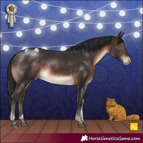 Horse Color:Brown Mushroom Tobiano Appaloosa