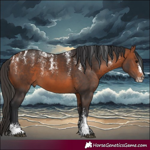 Horse Color:Powder White Bay 