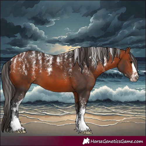 Horse Color:Powder White Bay