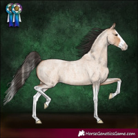 Horse Color:Bay Roan Dun Splash