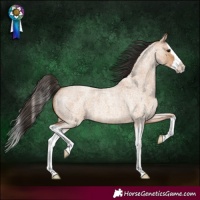 Horse Color:Bay Roan Dun Splash