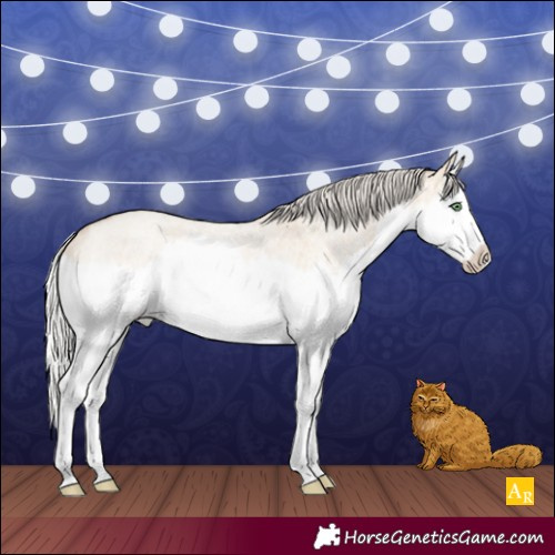 Horse Color:Silver Classic Champagne Roan Dun Splash Rabicano 