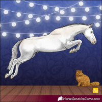 Horse Color:Silver Classic Champagne Roan Dun Splash Rabicano