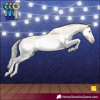Horse Color:Silver Classic Champagne Roan Dun Splash Rabicano 
