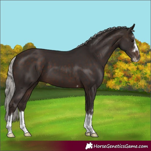 Horse Color:Silver Brown 