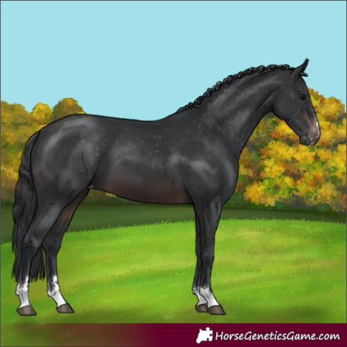 Horse Color:Brown Varnish 