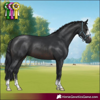 Horse Color:Brown 
