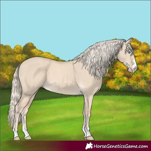 Horse Color:Cremello Dun 