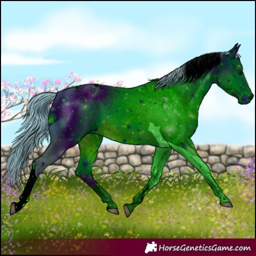 Horse Color:ERROR: UNKNOWN ANOMALY