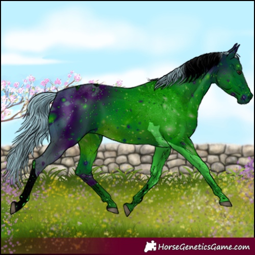 Horse Color:ERROR: UNKNOWN ANOMALY