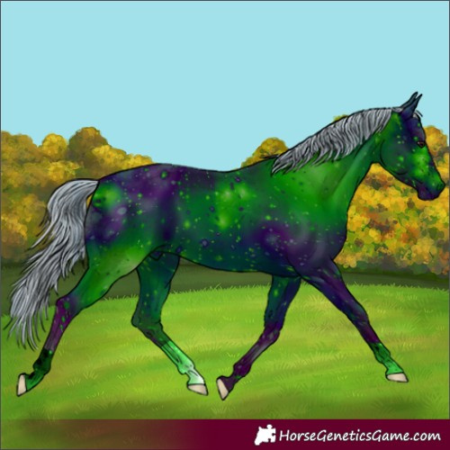 Horse Color:ERROR: UNKNOWN ANOMALY