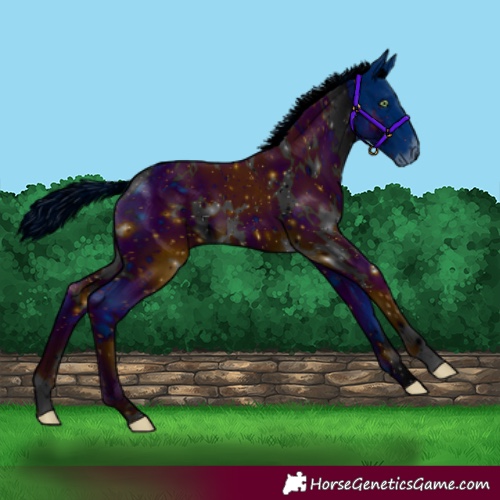 Horse Color:ERROR: UNKNOWN ANOMALY