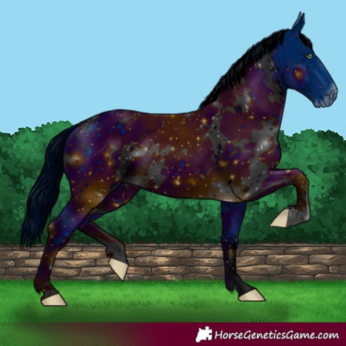 Horse Color:ERROR: UNKNOWN ANOMALY