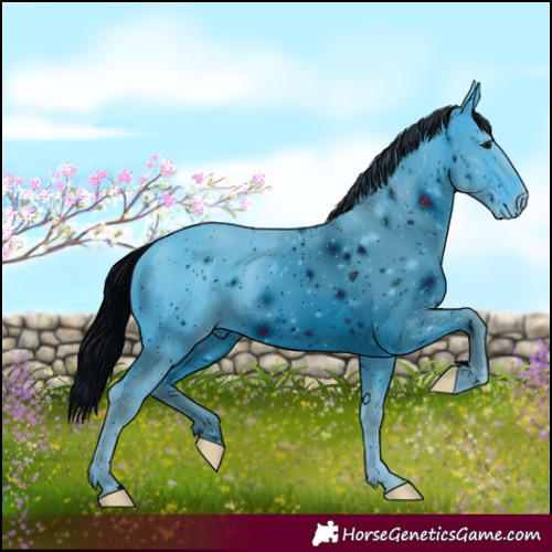 Horse Color:ERROR: UNKNOWN ANOMALY