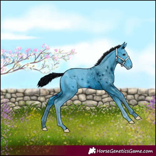 Horse Color:ERROR: UNKNOWN ANOMALY