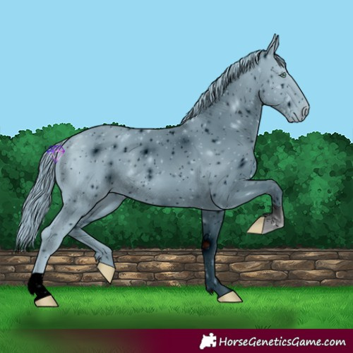 Horse Color:ERROR: UNKNOWN ANOMALY