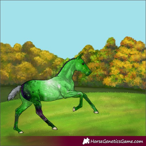 Horse Color:ERROR: UNKNOWN ANOMALY