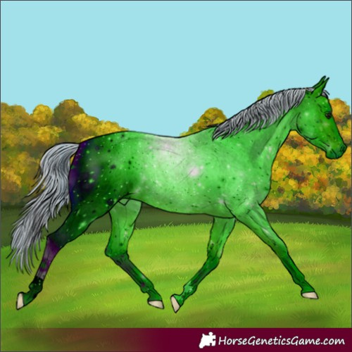 Horse Color:ERROR: UNKNOWN ANOMALY