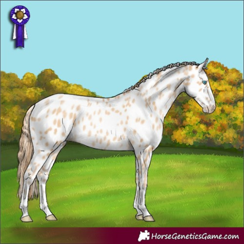 Horse Color:Buckskin Pearl Leopard 