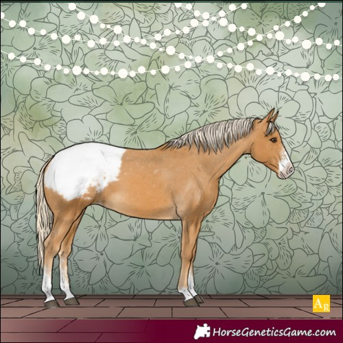 Horse Color:Palomino Sabino Snowcap 