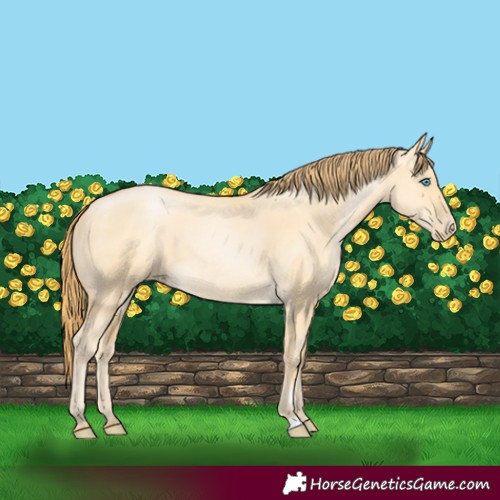 Horse Color:Buckskin Pearl Dun