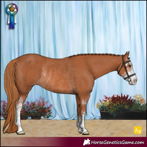 Horse Color:Chestnut Sabino Rabicano