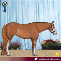 Horse Color:Chestnut Sabino Rabicano 