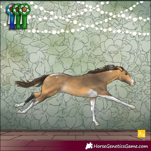 Horse Color:Buckskin Tobiano Appaloosa Rabicano 