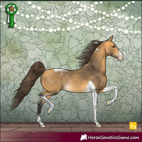 Horse Color:Buckskin Tobiano Appaloosa Rabicano 