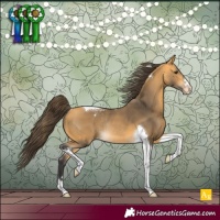 Horse Color:Buckskin Tobiano Appaloosa Rabicano 