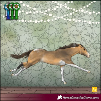 Horse Color:Buckskin Tobiano Appaloosa Rabicano