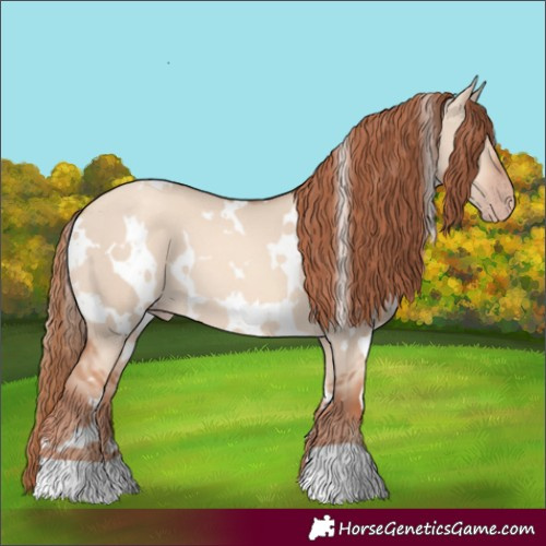 Horse Color:White Spotted Gold Champagne Dun