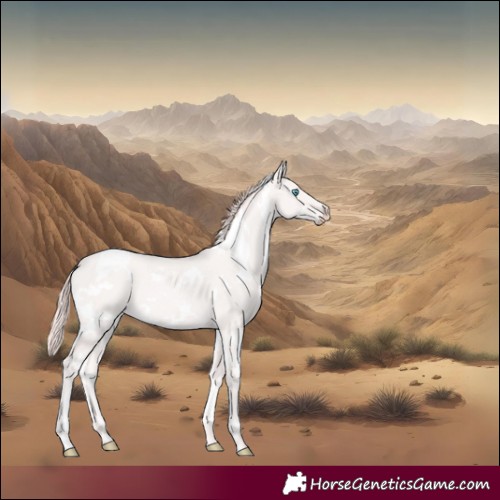Horse Color:White Spotted Perlino Rabicano 