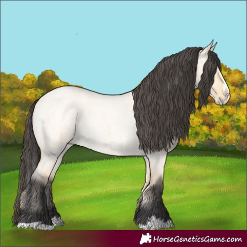 Horse Color:Buckskin Roan Dun Splash 
